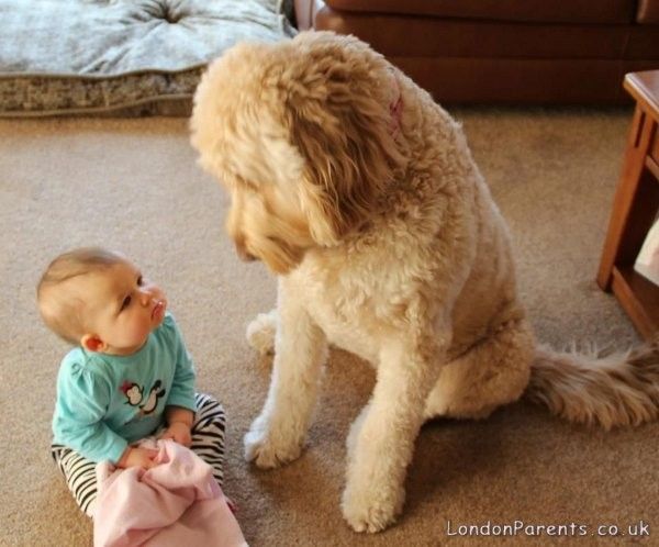 whatcha saying?