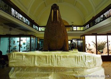 Horniman Museum and Gardens