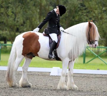 Deen City Farm & Riding School