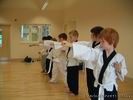 Pee Wee Karate