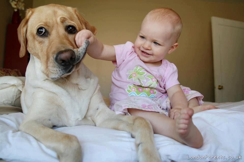 I said smile!