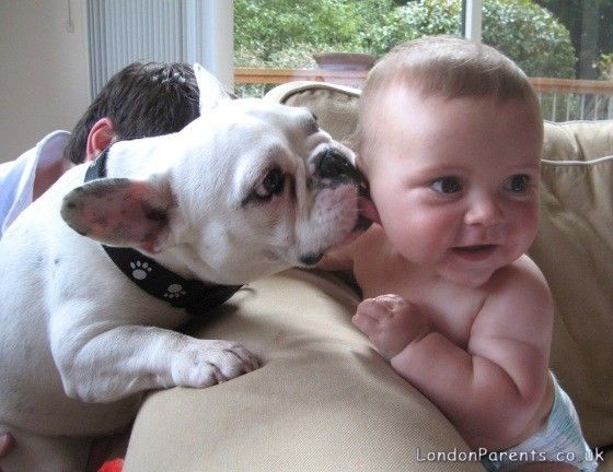 sweet kisses