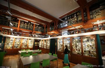 Grant Museum of Zoology and Comparative Anatomy
