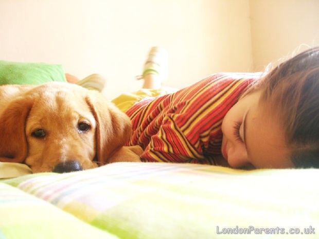 they always sleep like this )