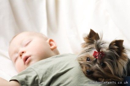 our little guard