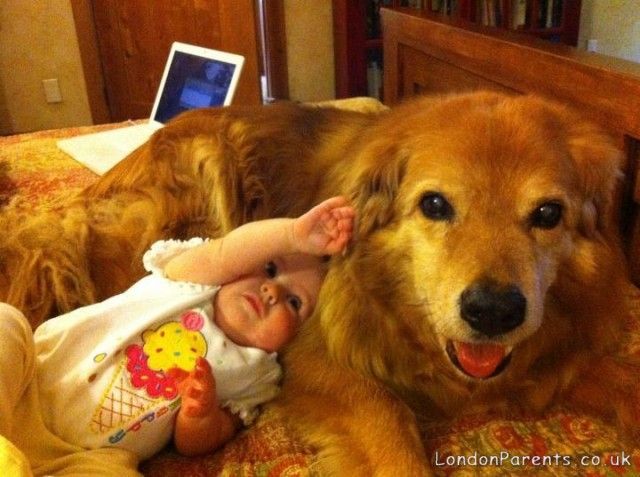 Little Charlie and Matilda are the best of friends!