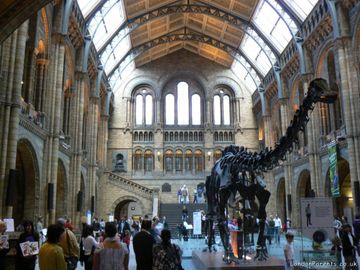 Science Museum