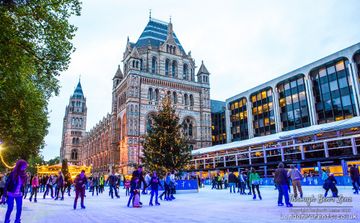 Natural History Museum Ice Rink