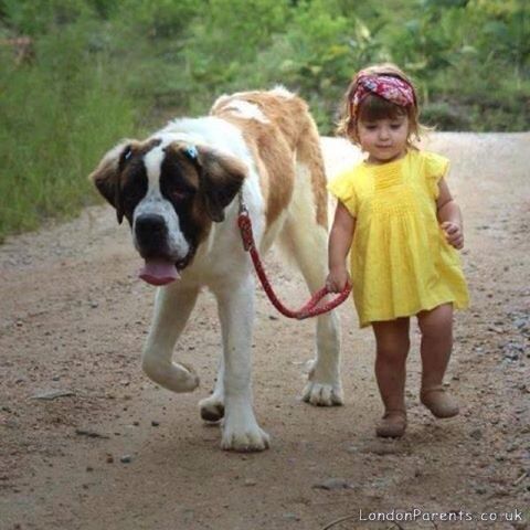 my little niece and her doggie